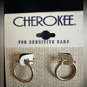 3/ $15 Cherokee Gold Hoop Earrings for Sensitive Ears